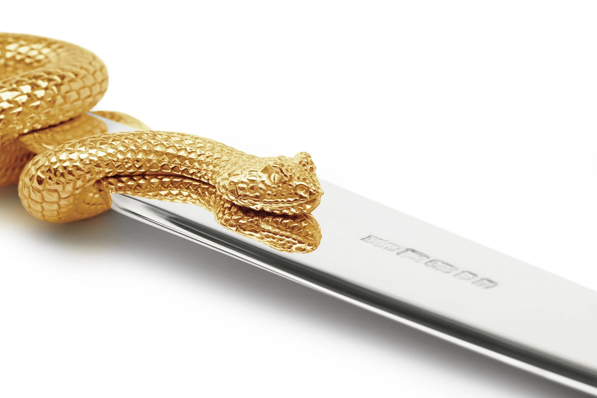 Reptile Awareness Day