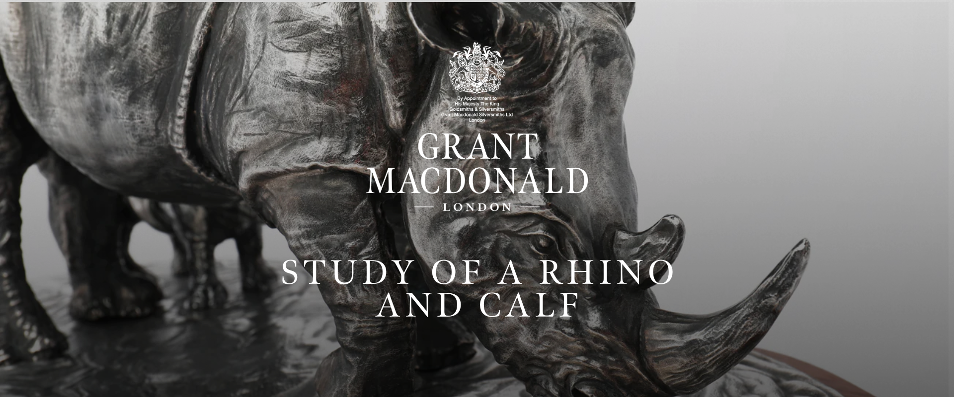 Study of a Rhino and Calf