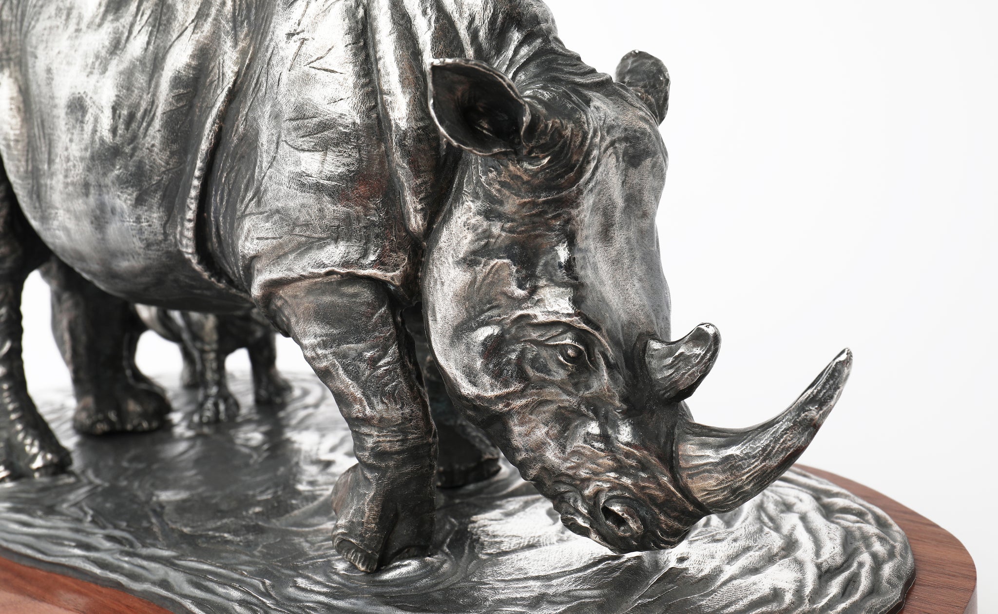 Study of a Rhino and Calf