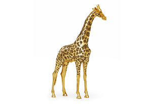 Punu Rii | Rothschild’s Giraffe for TUSK